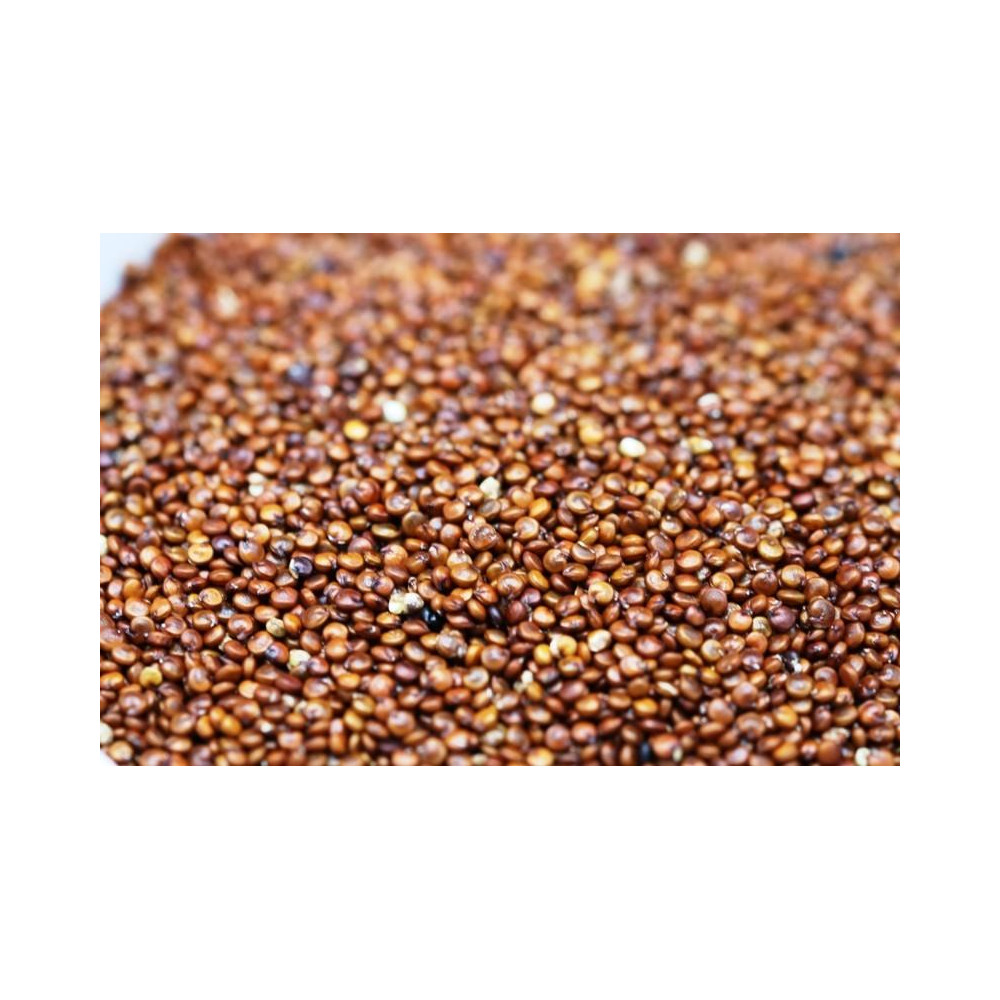 QUINOA ROJA B. 500 G